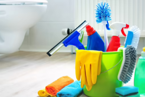 Messie Reinigung Buchholz In Der Nordheide